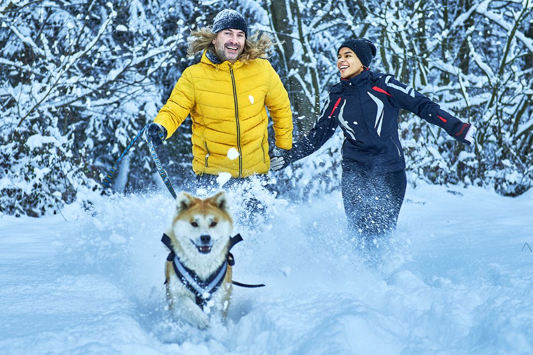 Ein Mann und eine Frau spielen  mit ihrem Hund im Schnee