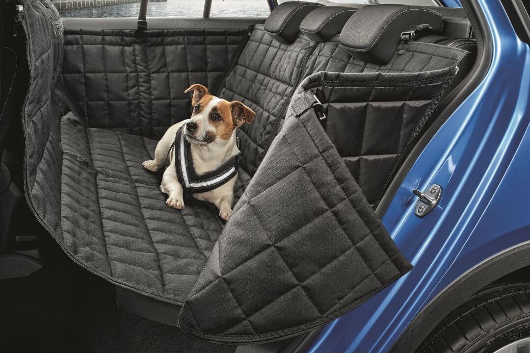 Ein Hund sitzt in einem Škoda Kodiaq auf der Rückbank auf einer Schutzdecke.