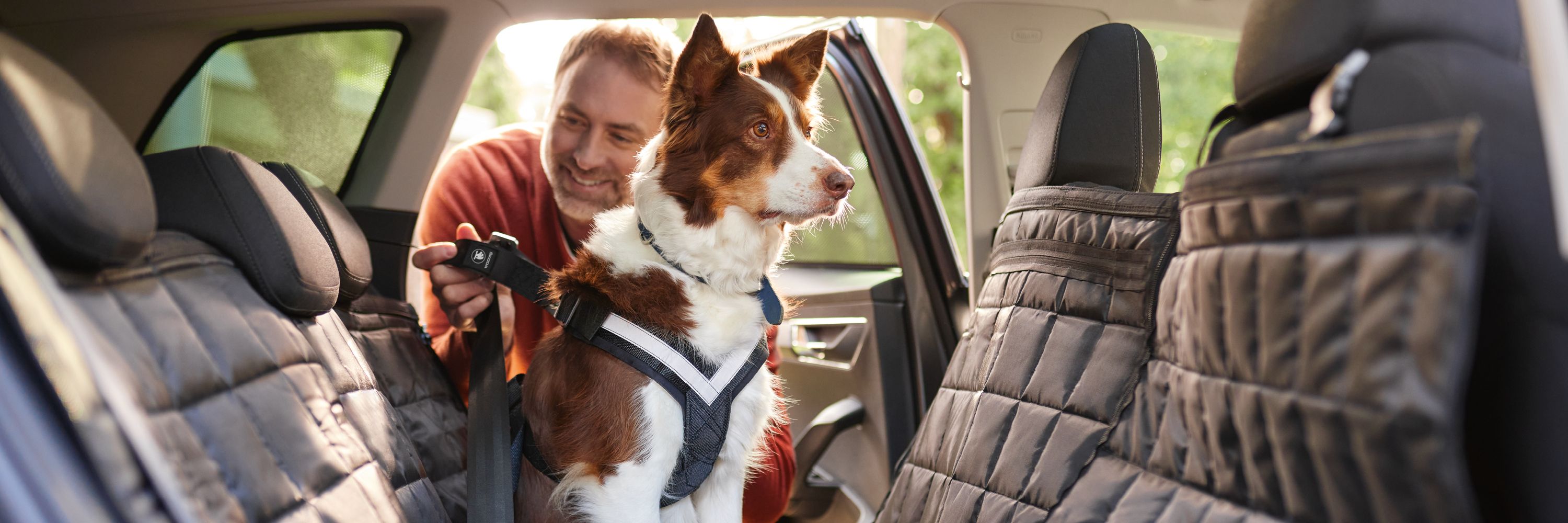 Ein Mann leint seinen Hund in seinem Škoda an. Dieser sitzt auf einer Hundematte.