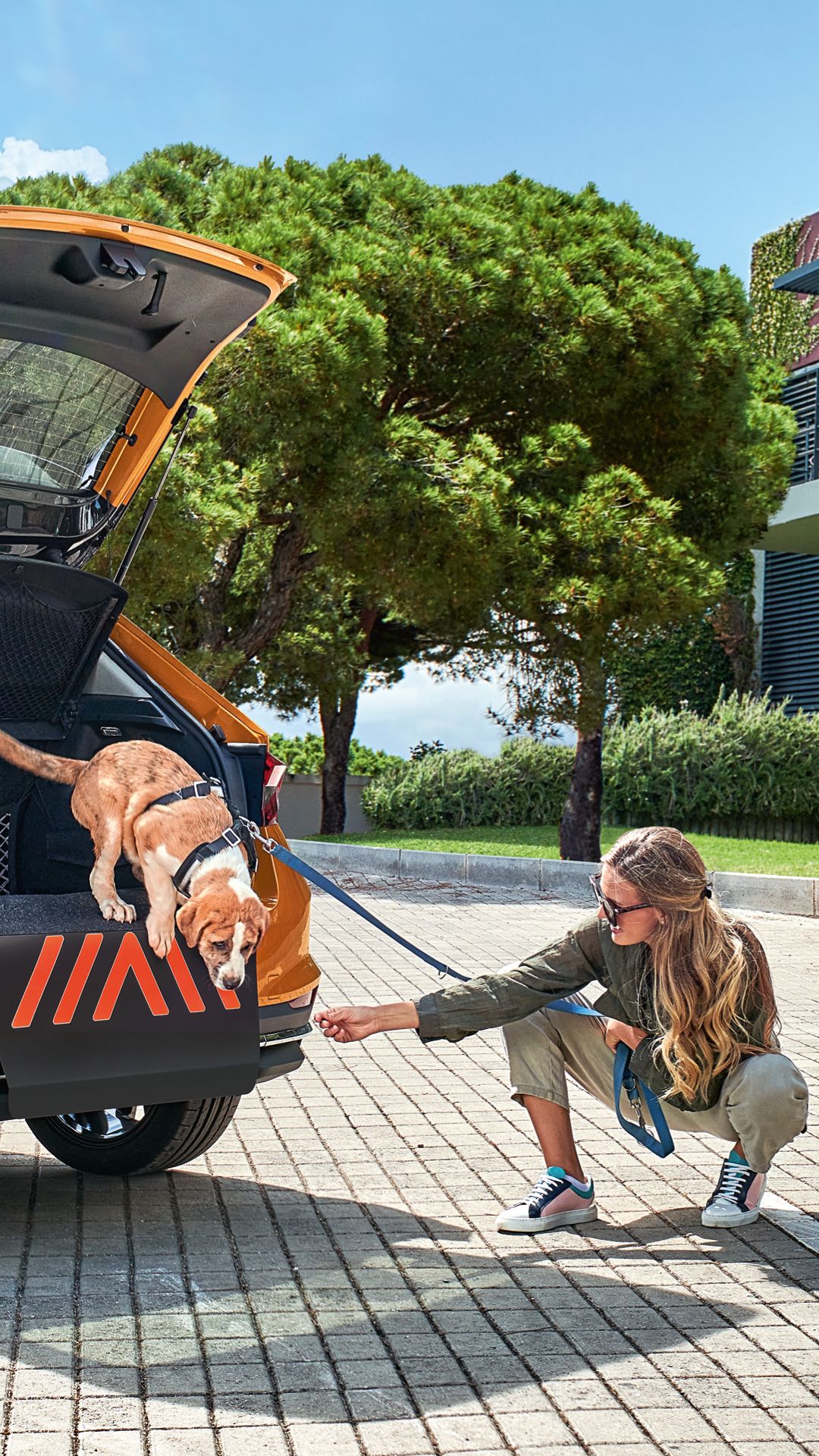 Ein Hund springt aus dem Kofferraum von einem Škoda Fabia