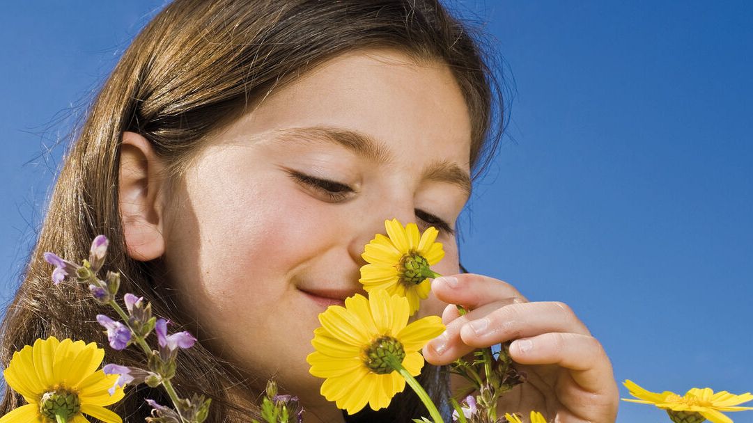 Mädchen mit Sommerblumen